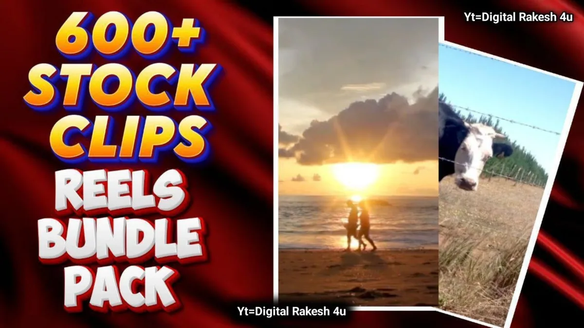 600+ Stock Clips